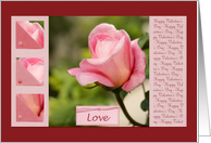 Pink Rose Love - Valentine’s day collage card