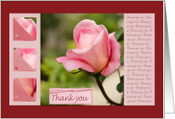 Pink Rose Thank you Because you care - Family Caregivers Month card