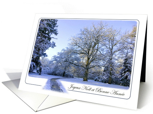 Path through Winter Wonderland - Happy Christmas in... (1346422)