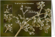 To all our Nurse Educators - Happy Holidays - Crystal Elegance card