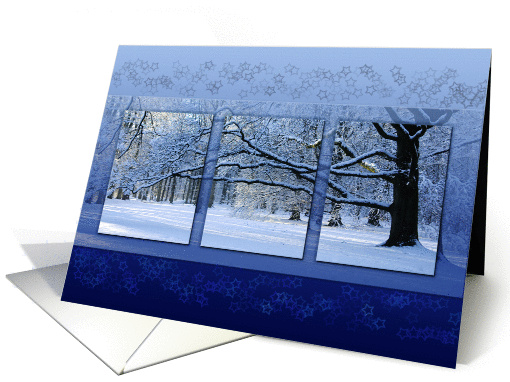 Reaching Far Winter Tree - Blank note Any Occasion card (1414346)