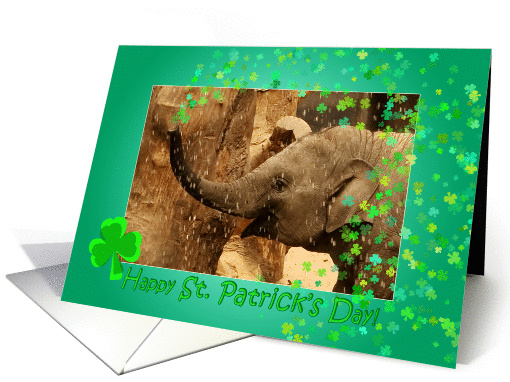 Little Elephant shamrock shower - Saint Patrick's Day card (1418126)