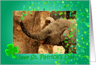Little Elephant shamrock shower - Saint Patrick’s Day card