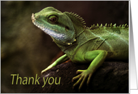 Little Green Spiny Lizzard on rock Thank You Green Natural blank card