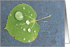 There is beauty everywhere card with leaf and water drops. card