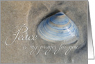 Peace is my prayer for card with seashell on the sand. card
