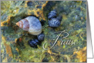 Praise to God for all creation thinking of you card. card