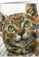 Kitty card