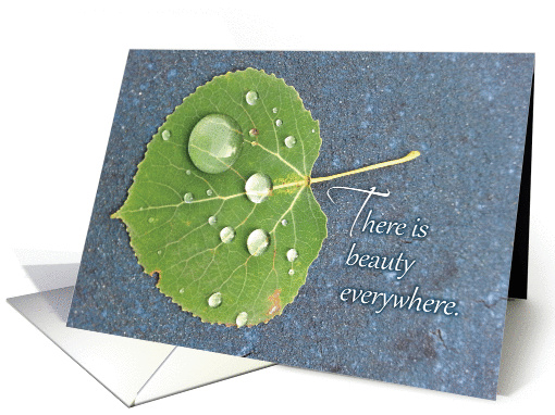 There is beauty everywhere card with leaf and water drops. card