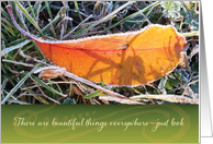 Blank Note Card, Beautiful Sunlit Orange Leaf with Frost. card