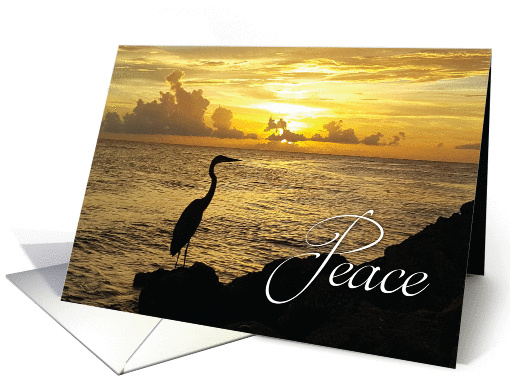 Peace is my prayer for you and I thank God for you card (1444710)