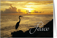 Peace is my prayer...