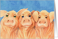 Three Pigs Looking to say Hi card
