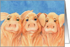 Three Pigs Looking to say Hi card