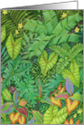 Jungle Foliage with Frogs Blank card