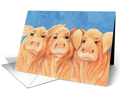Three Pigs Looking to say Hi card (1095140)