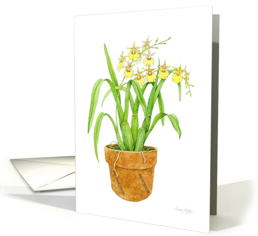 Dancing Ladies Orchid Blank card (1100048)