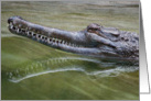 Alligator Smile card