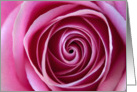 The Swirl Pink Rose Photo Blank Note Card