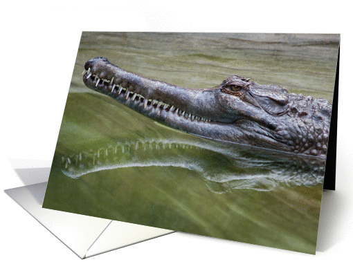 Alligator Smile card (1099984)