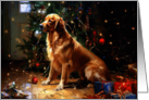 Golden Retriever Christmas Doggy Disaster card