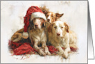 From Our Pack To Yours Christmas card