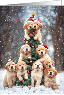 Pawsitively Merry Christmas card