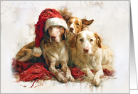 From Our Pack To Yours Christmas card