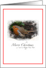 Christmas Robin card