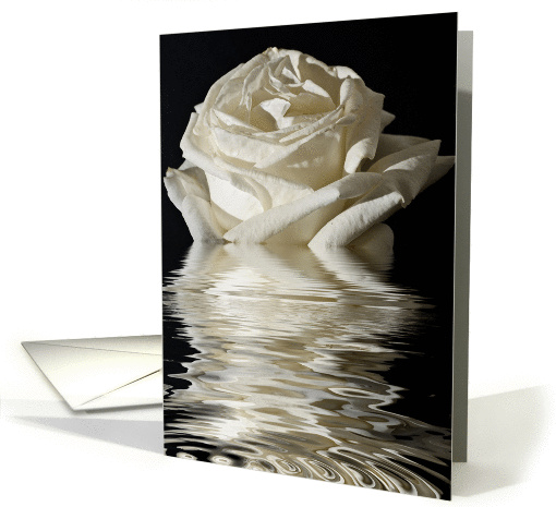 Silver Anniversary Rose Flood card (1103322)