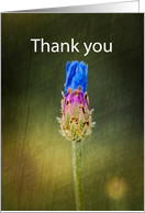 Thank you card