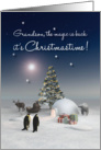 Grandson Fantasy Polar Bear Penguins Reindeer Igloo Christmas card