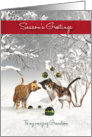 Grandson Fantasy Cats Snowscene Season’s Greetings card