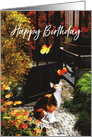 Cat loving butterflies for Cat lover Birthday card