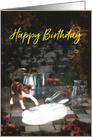 Cat discovering milk for cat lover Birthday card