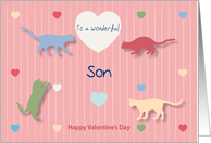 Cats Colored Hearts Wonderful Son Valentine’s Day card
