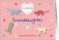 Cats Colored Hearts Wonderful Granddaughter Valentine’s Day card