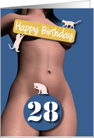 28th Sexy Girl Birthday Blue and Pink Cats card