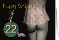 22nd Birthday Sexy Girl with Small Colored Shirt and Cats card