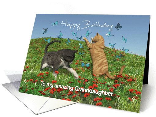 Cats playing with butterflies for Granddaughter Birthday card