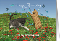 Cats playing with butterflies for Son Birthday card