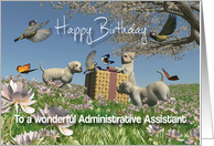 Labrador puppies Birds Butterflies Birthday Administrative Assistant card