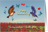 Valentine Birds Hearts Poppies and Rainbow for Granddaughter card