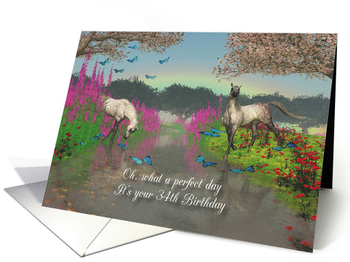 34th Birthday Perfect Day with horses and butterflies card (1344640)