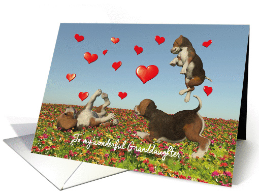 Granddaughter Valentine with puppy dogs and hearts card (1347912)