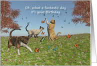 Birthday Fantastic Day with Cats and butterflies card