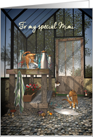 For Mimi Whimsical Fantasy Cats in Greenhouse Mother’s Day card