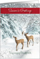 Grandparents Fantasy Fawns Snowscene Season’s Greetings card