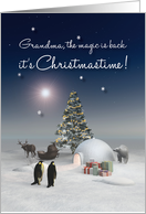 Grandma Fantasy Polar Bear Penguins Reindeer Igloo Christmas card