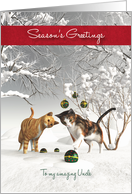 Uncle Fantasy Cats Snowscene Season’s Greetings card